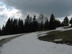 La clairière vers 1300m