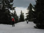 On arrive sur l'antécime de 1598m, nous sommes bloqués par une falaise et la neige ne nous donne pas envie de continuer.