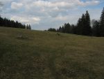 Et on arrive dans la vaste clairière de Pré Anselme