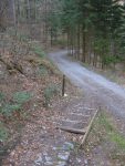 Et on retrouve les escaliers puis le chemin forestier
