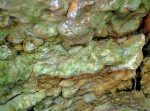 Encore des coquillages dans le calcaire