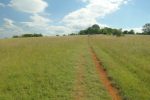 Mont Thoux