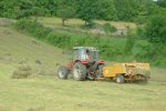 Travaux des champs