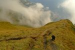 La brume donne de joli effet