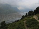 On descend par le sentier le long de l'ancienne moraine, en face on voit sa limite