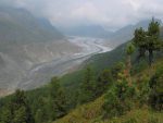Autre spécificité local : la forêt d'arolles