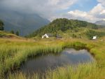Le jardin alpin