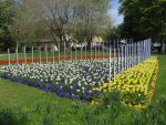 Fête de la tulipe à Morges