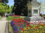 Fête de la tulipe à Morges