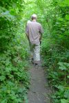 Toujours en marche tranquille dans la forêt