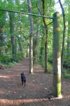 Nous poursuivons vers l'embouchure du Boiron, en traversant la Piste Vita