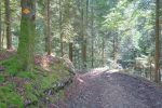 La suite par un chemin forestier pentu