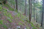 Chemin des chamois !