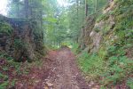 Chemin forestier de La Rochette