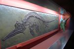 Espadon, non ichthyosaure