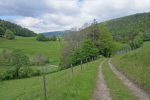 Sortie de forêt avant la route. On va passer sur la colline en face