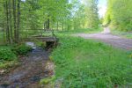 Je rentre en longeant la route forestière