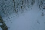 Descente en forêt avec un passage sécurisé