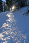 Montée régulière sous la crête