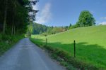 On longe brièvement la route, après hésitation je reviendrai pour partir sur la ferme à droite.