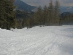 Et on retrouve les pistes dans une neige bien transformée mais agréable