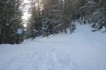 On coupe la piste de ski de fond