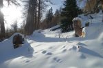 Désormais je dois brasser. Sur le chemin pédestre
