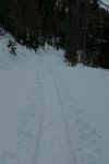 Chemin monotone