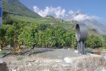 Saillon et ses vignes