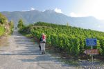 Après un peu d'errance, on finit par trouver la Vigne à Farinet