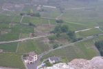 Vue sur les vignes