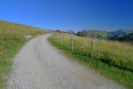 Suivons donc la route