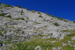 Plusieurs voies d'escalade, en 4, dans cette paroi