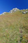 Une sente y monte