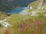 Après avoir repris la voiture, vue depuis le bord de la route sur le barrage de Moiry