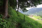 Les vaches sont parties faire de la grimpe dans le talus et donc je peux passer. Vue sur Champéry