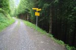 Et on continue dans la sombre forêt. Panneau qui dit de faire attention aux troupeaux avec vos chiens