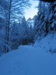 La route est assez longue et il faut du temps avant d'arriver à Pont de Nant.