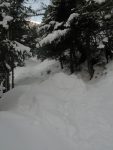 On emprunte le chemin d'été à travers la forêt