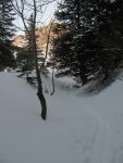 On sort tout bientôt de la forêt pour rejoindre Le Richard.