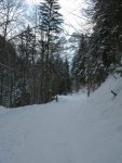 Et c'est le début de la montée de la longue route jusqu'à Pont de Nant, pente régulière et à l'ombre.