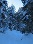 Nous passons à travers la forêt par le chemin d'été, endroit charmant