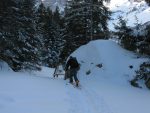 Encore un passage dans les arbres, avec les panneaux touristiques d'été