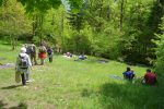 Picnic pour certains