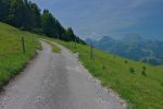 Profitons encore de cette belle vue avant un long passage en forêt