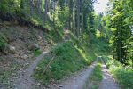 On traverse la route, le chemin est pentu, avec les marches en bois au fond