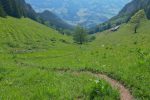 Les Combes du Milieu en vue