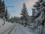 L'arrêt du train des Pralies, il nous faut traverser la route