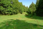 La gouille locale, on file dans la forêt sur la droite pour Le Risel