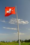 Swissitude